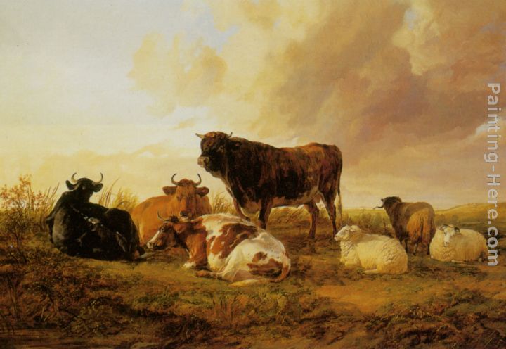 Cattle and Sheep in a Field painting - Thomas Sidney Cooper Cattle and Sheep in a Field art painting